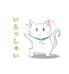 ねこ文字「日常・挨拶」（個別スタンプ：5）