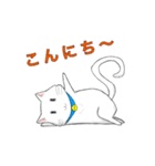 ねこ文字「日常・挨拶」（個別スタンプ：7）