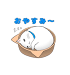 ねこ文字「日常・挨拶」（個別スタンプ：8）