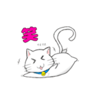 ねこ文字「日常・挨拶」（個別スタンプ：13）