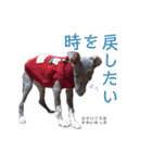 イッヌと。4（個別スタンプ：17）