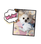 LUNA＆SEAちゃんの使える会話です！！～（個別スタンプ：12）