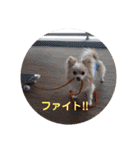 LUNA＆SEAちゃんの使える会話です！！～（個別スタンプ：13）