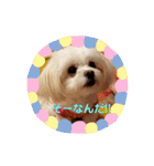 LUNA＆SEAちゃんの使える会話です！！～（個別スタンプ：18）