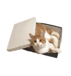 ねこのじろうくん（個別スタンプ：1）