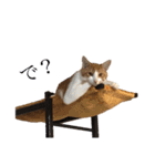 ねこのじろうくん（個別スタンプ：8）
