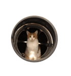 ねこのじろうくん（個別スタンプ：13）