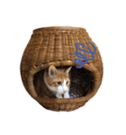ねこのじろうくん（個別スタンプ：18）