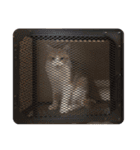 ねこのじろうくん（個別スタンプ：26）