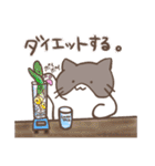 汎用性高い！？ハチワレねこスタンプ2（個別スタンプ：8）