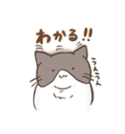 汎用性高い！？ハチワレねこスタンプ2（個別スタンプ：26）