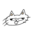 イラネコ（個別スタンプ：1）