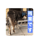 ゴマの日常2（個別スタンプ：6）