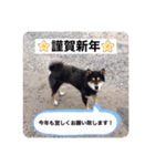 ゴマの日常2（個別スタンプ：10）