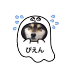ゴマの日常2（個別スタンプ：23）