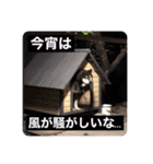 ゴマの日常2（個別スタンプ：24）