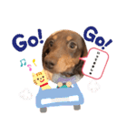 あたちの日常スタンプでしゅ（個別スタンプ：4）
