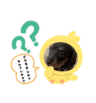 あたちの日常スタンプでしゅ（個別スタンプ：5）