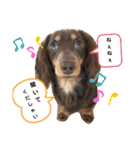 あたちの日常スタンプでしゅ（個別スタンプ：7）