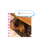 あたちの日常スタンプでしゅ（個別スタンプ：16）