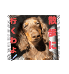 あたちの日常スタンプでしゅ（個別スタンプ：21）