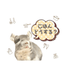 チンチラのむぅちゃん②（個別スタンプ：9）