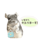 チンチラのむぅちゃん②（個別スタンプ：10）