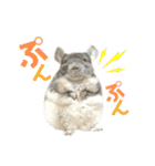チンチラのむぅちゃん②（個別スタンプ：23）