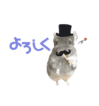 チンチラのむぅちゃん②（個別スタンプ：33）