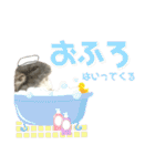 チンチラのむぅちゃん②（個別スタンプ：36）