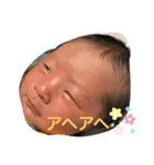 こーしろー16（個別スタンプ：5）