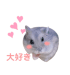 ボスタンプNo.1（個別スタンプ：4）