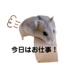 ボスタンプNo.1（個別スタンプ：14）