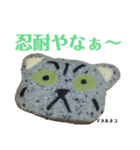 nanda zoo cookies マヌルネコ（個別スタンプ：2）