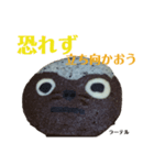 nanda zoo cookies マヌルネコ（個別スタンプ：4）
