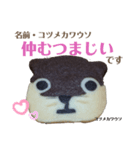 nanda zoo cookies マヌルネコ（個別スタンプ：5）