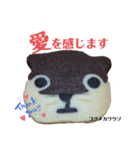 nanda zoo cookies マヌルネコ（個別スタンプ：6）