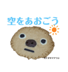 nanda zoo cookies マヌルネコ（個別スタンプ：8）