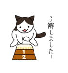 うちの猫がお返事するよ Part2（白キジ）（個別スタンプ：4）