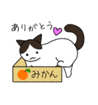 うちの猫がお返事するよ Part2（白キジ）（個別スタンプ：23）