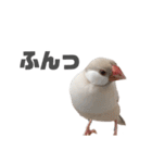 うちのおこめさん（個別スタンプ：1）
