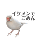 うちのおこめさん（個別スタンプ：6）