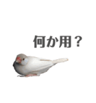 うちのおこめさん（個別スタンプ：11）