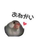 うちのおこめさん（個別スタンプ：12）