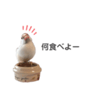 うちのおこめさん（個別スタンプ：13）