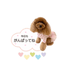 cherry's fam（個別スタンプ：3）