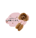 cherry's fam（個別スタンプ：5）