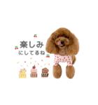 cherry's fam（個別スタンプ：8）