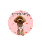 cherry's fam（個別スタンプ：13）
