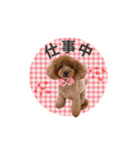 cherry's fam（個別スタンプ：16）
